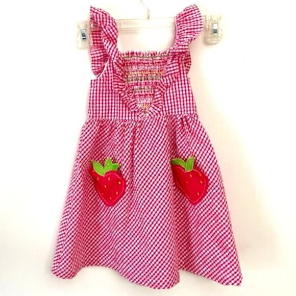 Blueberi Boulevard Other - Blueberi Boulevard Dress Seersucker Gingham Appliqué Strawberry Smocked Sz 4T